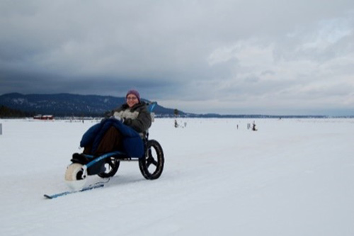 Hippocampe Snow
