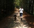 dynamite trail
