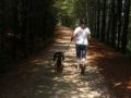 dynamite trail