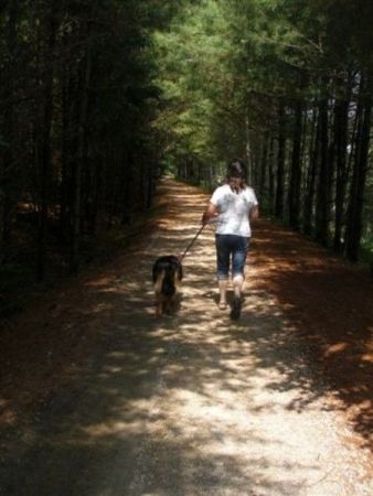 dynamite trail