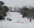 sledding at the marc