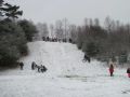 sledding at the marc