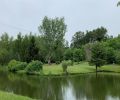 the pond at the marc