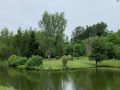 the pond at the marc