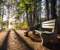 miller point peace park