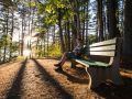 miller point peace park